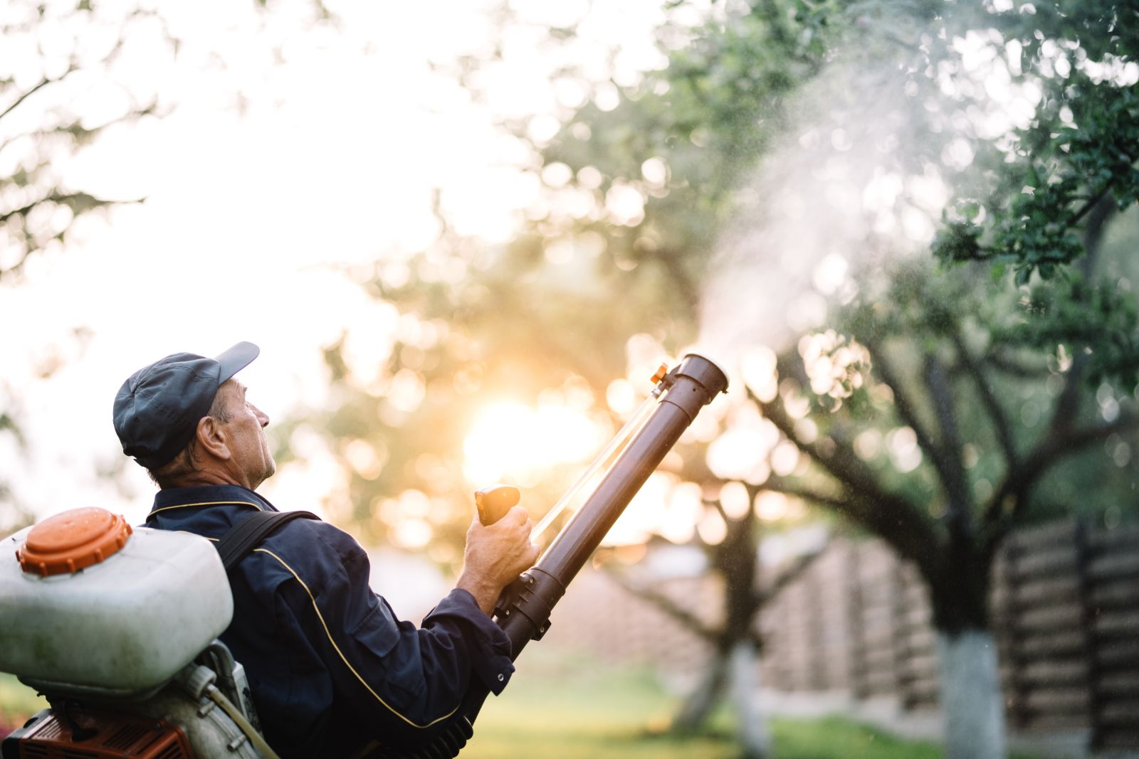 A pest control specialist spraying organic mosquito control products on some trees.